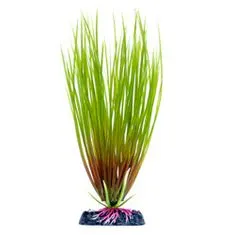 PENN PLAX Műnövény 22 cm Hair Grass M