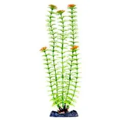 PENN PLAX Műnövény 33 cm Plant-XL Ambulia
