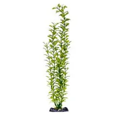 PENN PLAX Műnövény 45,5 cm Blooming Ludwigia (Green) Super