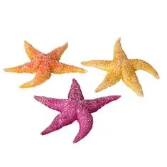 EBI AQUA DELLA tengeri csillag mix 17 x 15 x 2,3cm 1db