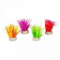 EBI AQUA DELLA Műnövény HAIR GRASS S mix színek 6cm 1db