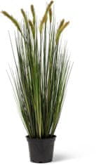 A La Maison Foxtail Grass, 90 cm