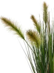 A La Maison Foxtail Grass, 90 cm