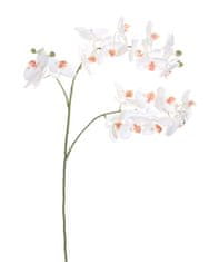 Shishi Orchidea (Phalaenopsis) fehér, 87 cm