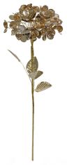Shishi Arany hortenzia, 60 cm