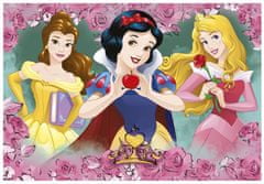 DINO Puzzle Princesses 2x77 darab