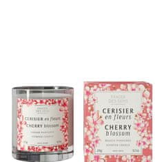 Panier des Sens Illatgyertya Home Cherry Blossom (Scented Candle) 275 g