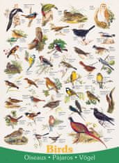 EuroGraphics Puzzle Birds 1000 darabos puzzle madarak