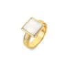 Aranyozott gyűrű gyémánttal és gyöngyházzal díszítve Jac Jossa Soul DR247 (Kerület 51 mm)