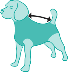 Suitical Posztoperatív védőruha kutyáknak, kék