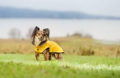 RUKKA PETS Esőkabát kutyáknak Rukka Stream sárga 40 sárga