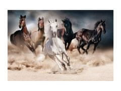Signal Kép HORSES 120x80 cm