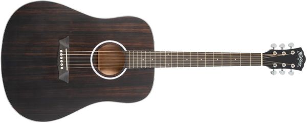 Washburn DFED-U gitár 20 érintő rétegelt ébenfa és okoumé die cast hangoló mechanika kezdőknek is megfelelő 