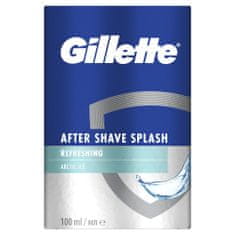 Gillette Series Arctic Ice After Shave, 100 ml
