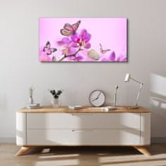 COLORAY.HU Vászonkép Virágok természet pillangó 100x50 cm