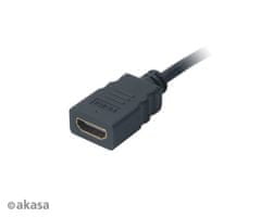 Akasa - HDMI-mikro HDMI adapter - 25 cm