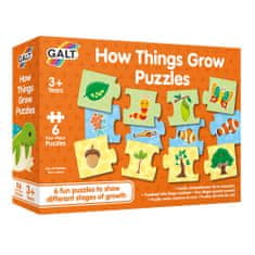 Galt Puzzle - hogyan nőnek a dolgok