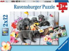 Ravensburger Aranyos kiskutyák Puzzle 2x12 darab