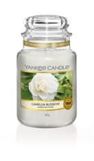 Yankee Candle Kamélia virág gyertya 623g
