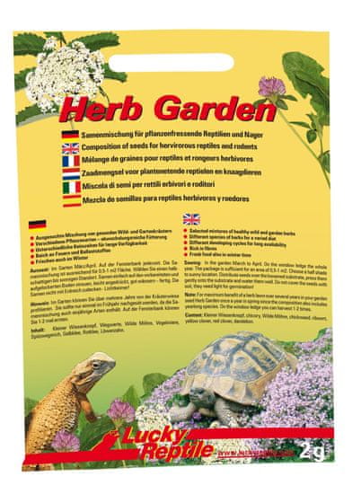 Lucky Reptile Herb Garden Pitypang 2g