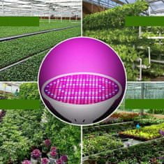 Verkgroup 200 LED-es UV lámpa a növények növekedéséhez 10W