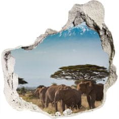 Wallmuralia.hu 3d fali matrica lyuk a falban Elefántok kilimandzsáró 125x125 cm