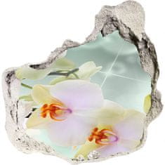 Wallmuralia.hu 3d fali matrica lyuk a falban Fehér orchidea 75x75 cm