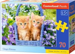 Castorland Puzzle Ginger Cicák 70 darab