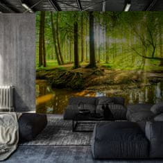 Muralo Fotótapéta nappali 3D tájkép Erdőhöz Fákhoz folyóhoz 180 x 120 cm