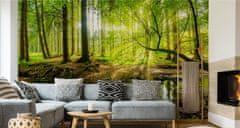 Muralo Fotótapéta nappali 3D tájkép Erdőhöz Fákhoz folyóhoz 180 x 120 cm