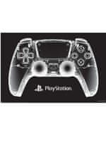 Poszter PlayStation - DualSense