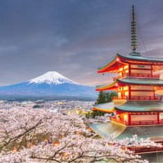 Muralo Fotótapéta a nappaliba Japán Pagoda Fuji 315 x 210 cm