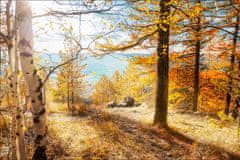 Muralo Fotótapéta 3D erdő, őszi táj 270 x 180 cm