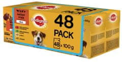 Pedigree Vital Protection tasakok húsválogatás zselében felnőtt kutyáknak 48 x 100g