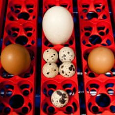 shumee Félautomata keltető 24 tojáshoz professzionális 100 W-os vízadagolóval