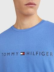 Tommy Hilfiger Férfi póló Regular Fit UM0UM01434-DYG (Méret L)