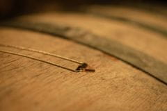 BeWooden női nyaklánc fából készült részletekkel egy boroshordóból White Wine Gold Necklace univerzális