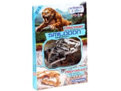 Clementoni Smilodon Tigriscsontváz összeállító készlet ZA3713