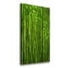 Vászonkép nyomtatás Bambusz erdő 50x100 cm