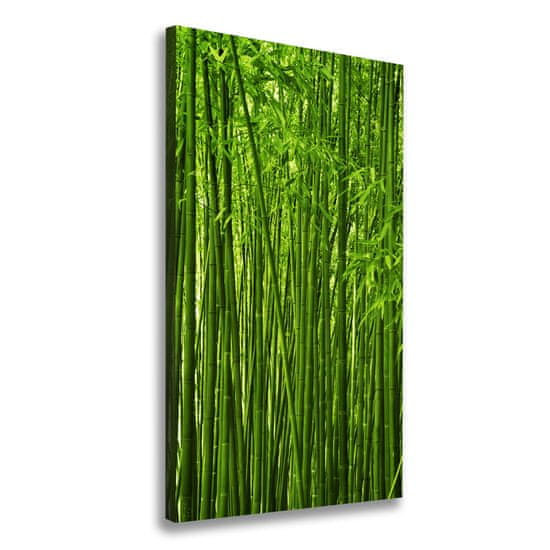 Wallmuralia.hu Vászonkép nyomtatás Bambusz erdő