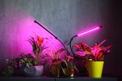 Dexxer LED lámpa klippel a növények termesztéséhez