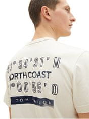 Tom Tailor Férfi póló Regular Fit 1035541.18592 (Méret XL)