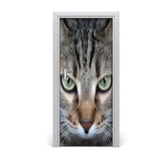 tulup.hu Ajtóposzter öntapadós macska szemek 85x205 cm