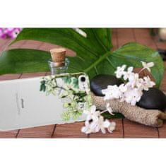 Telone Floral tok Samsung Galaxy S8 telefonra KP18124 átlátszó