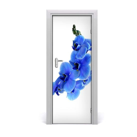 tulup.hu Ajtó méretű poszter kék orchidea