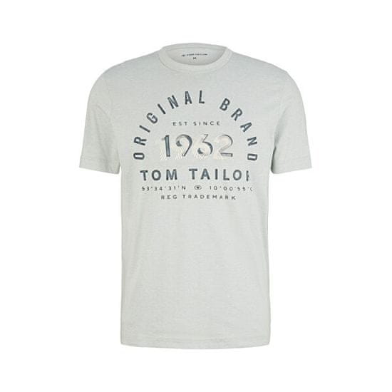 Tom Tailor Férfi póló Regular Fit 1035549.30869