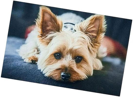 ZOO MIX Csúszásgátló szőnyeg Kutya 40x60 cm - Yorkshire Terrier