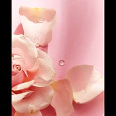 Nivea Ápoló tusfürdő Care & Roses (Mennyiség 250 ml)