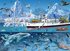 Blue Bird Puzzle Arctic: Bluebird hajó 1500 darab
