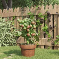 Greatstore 5 db zöld acél kerti növénytámasz 3 gyűrűvel 45 cm